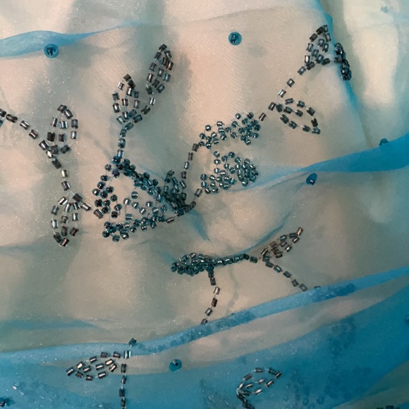 Size 10 Prom or Gala Dress - Picture 12 of 13